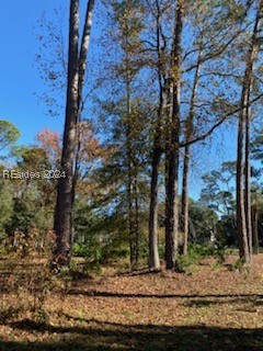 44 Bridgetown Road, Hilton Head Island, South Carolina image 6