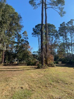 44 Bridgetown Road, Hilton Head Island, South Carolina image 2