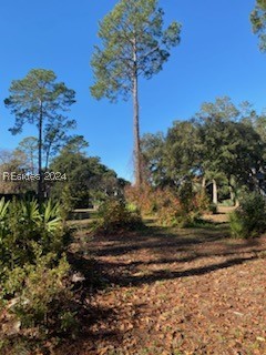 44 Bridgetown Road, Hilton Head Island, South Carolina image 7