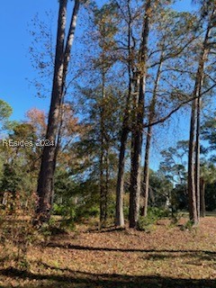 44 Bridgetown Road, Hilton Head Island, South Carolina image 5
