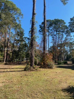 44 Bridgetown Road, Hilton Head Island, South Carolina image 3