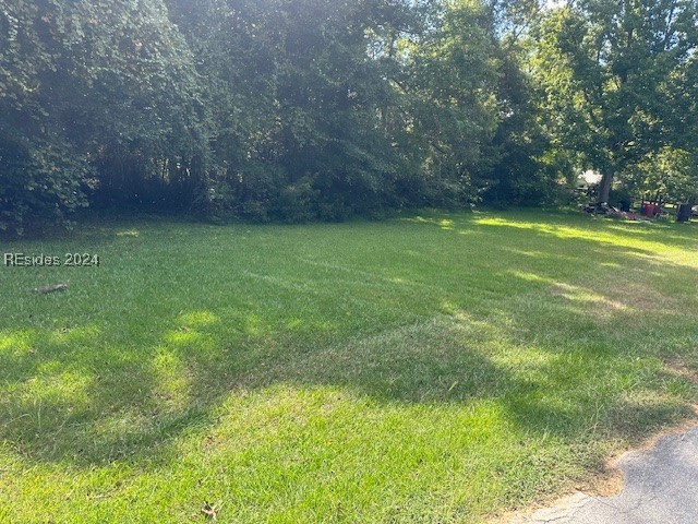 TBD Middle Street, Hampton, South Carolina image 3