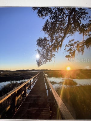 148 STUART POINT RD, SEABROOK, SC 29940 - Image e70b38e972dfdcc7cbde3ae7f20a8e5f/2376671841