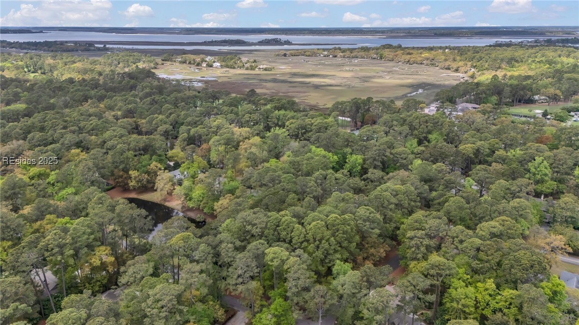33 Wood Duck Court, Hilton Head Island, South Carolina image 38