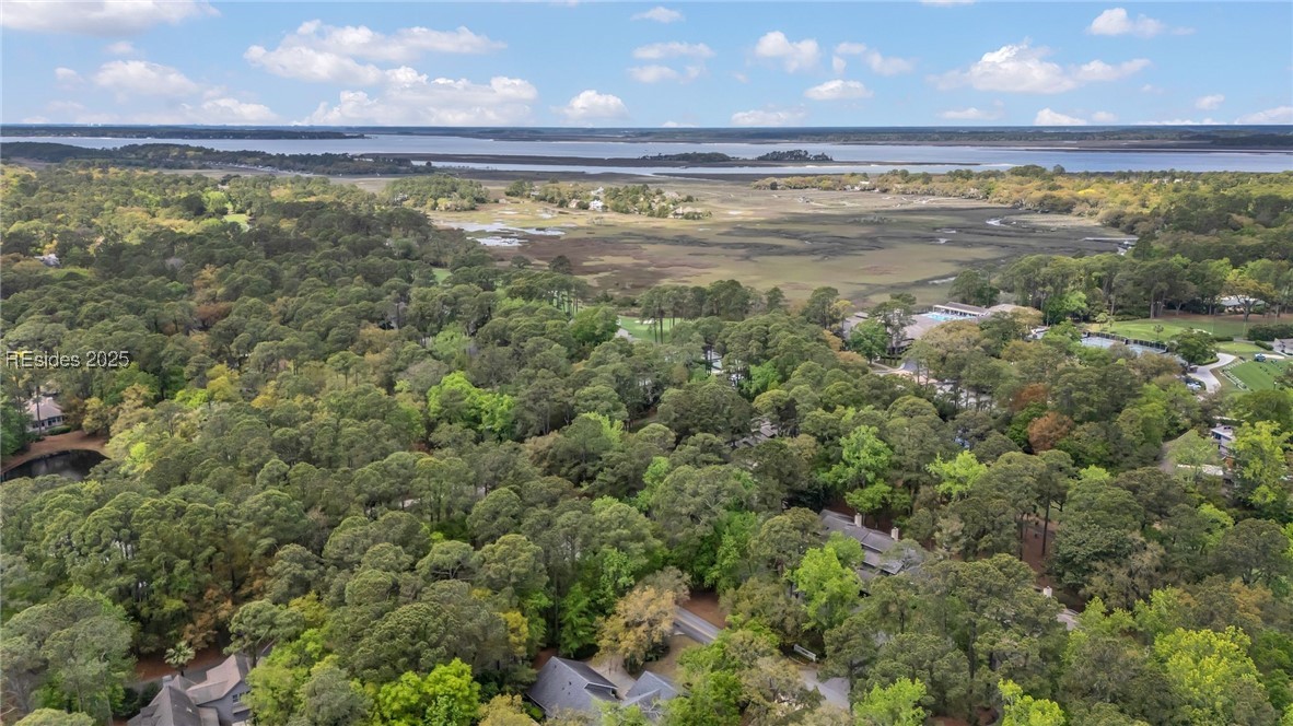 33 Wood Duck Court, Hilton Head Island, South Carolina image 36