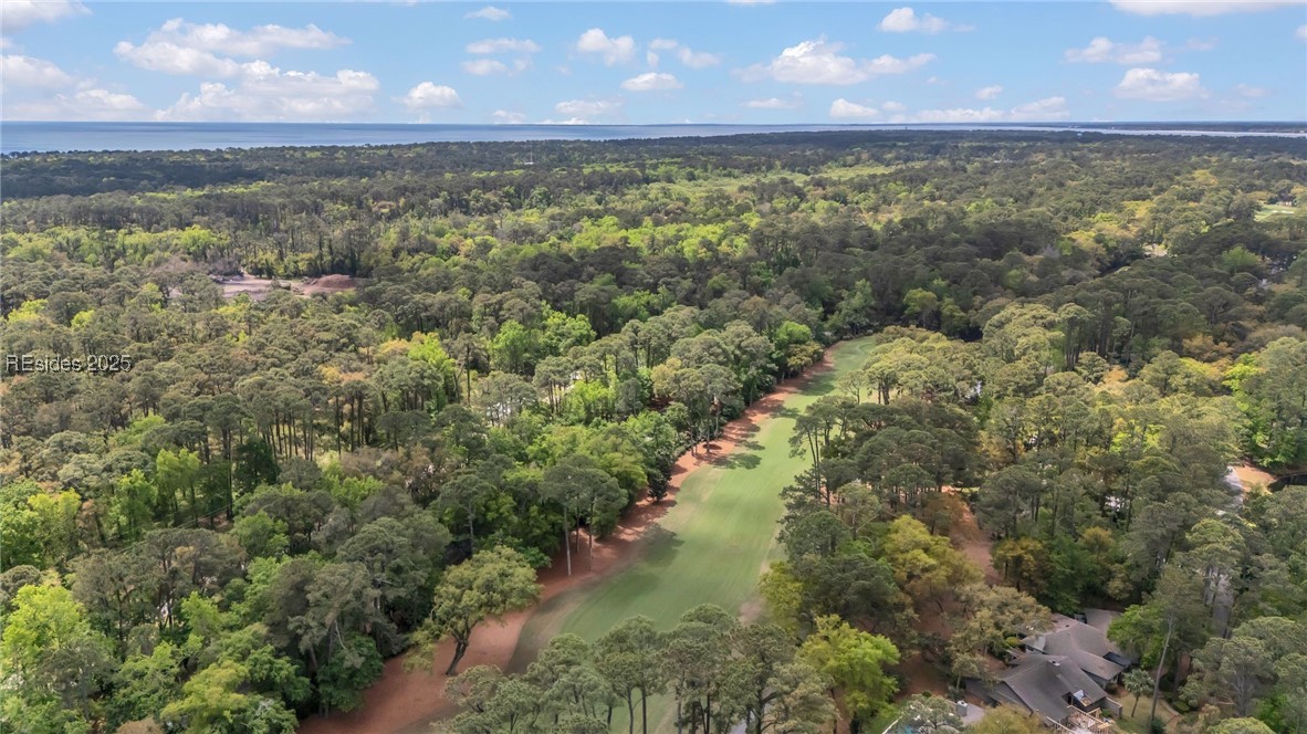 33 Wood Duck Court, Hilton Head Island, South Carolina image 35