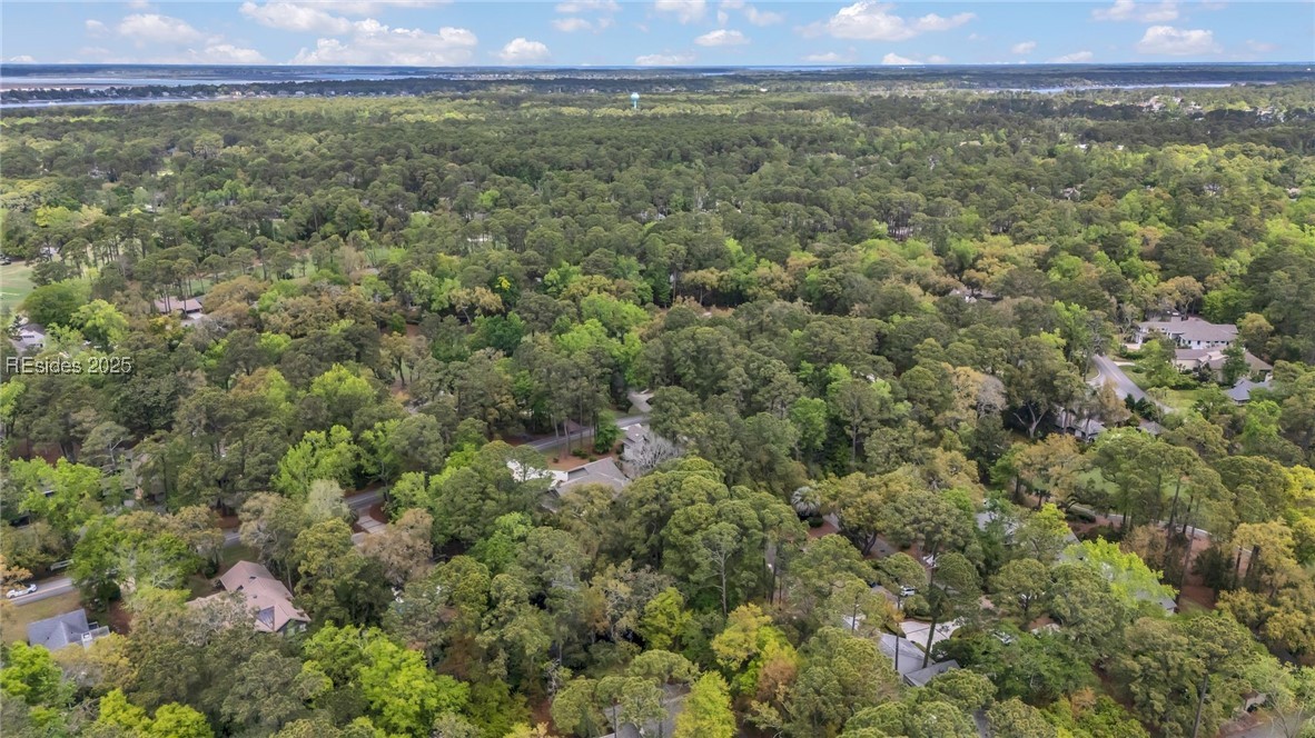 33 Wood Duck Court, Hilton Head Island, South Carolina image 39