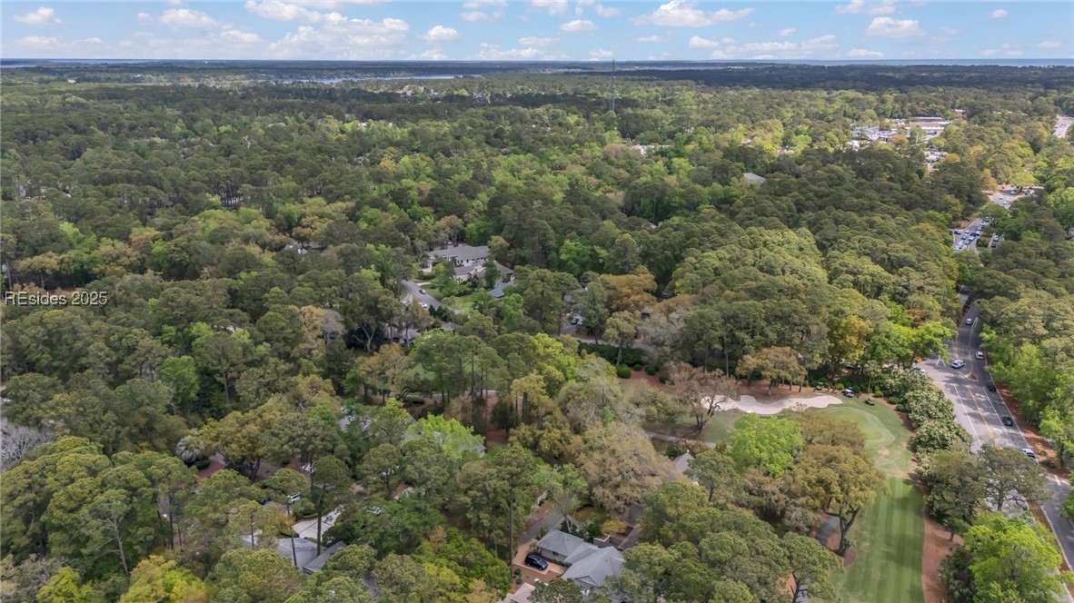 33 Wood Duck Court, Hilton Head Island, South Carolina image 33