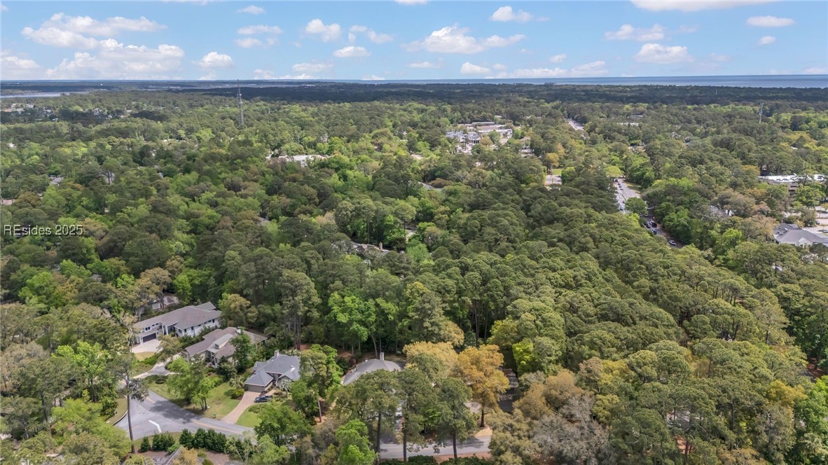 33 Wood Duck Court, Hilton Head Island, South Carolina image 37
