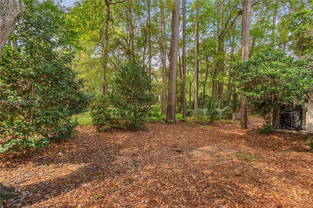 33 Wood Duck Court, Hilton Head Island, South Carolina image 30