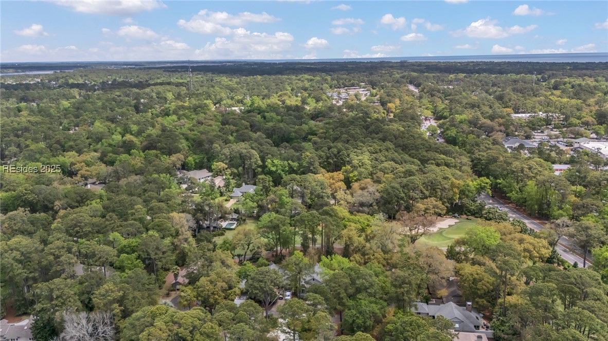 33 Wood Duck Court, Hilton Head Island, South Carolina image 34