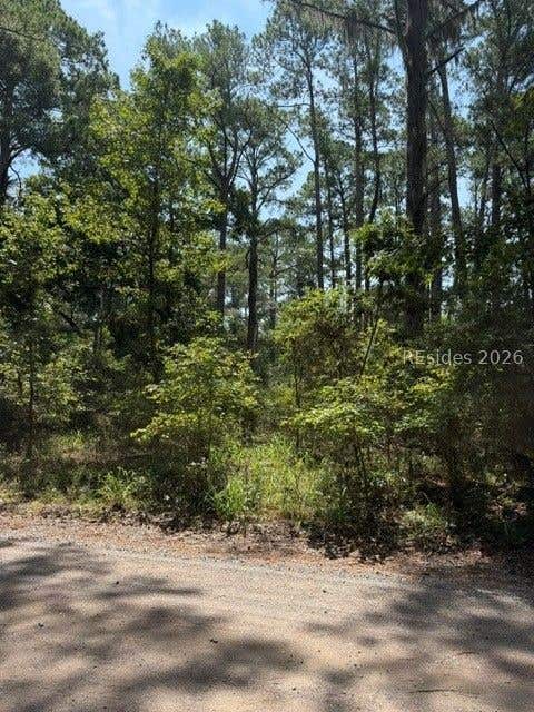 Vacant Land For Sale - 396 School Road<br/> Daufuskie Island, SC 29915
