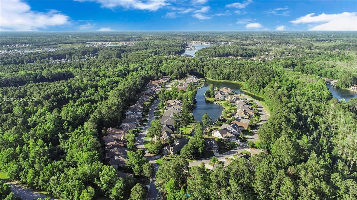 39 Sweet Marsh Court, Bluffton, Texas image 46