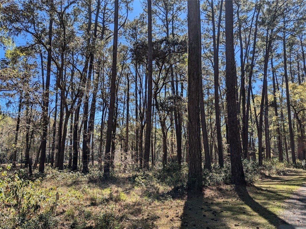 30 Volunteers Ridge, Daufuskie Island, South Carolina image 3