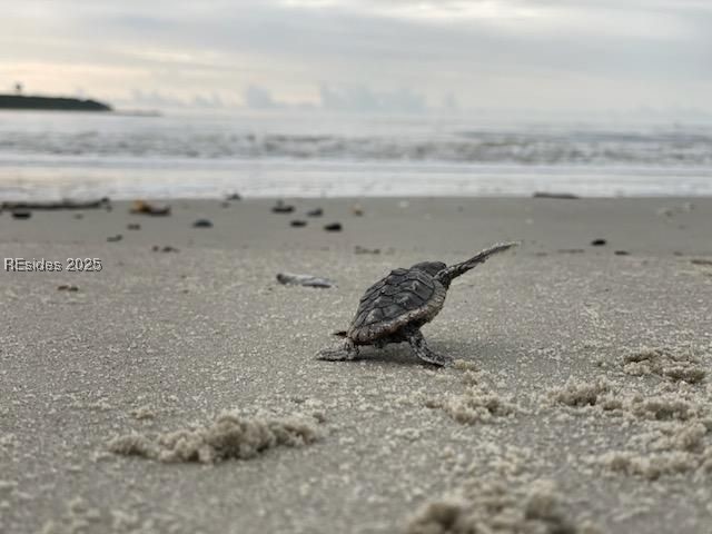 30 Volunteers Ridge, Daufuskie Island, South Carolina image 28