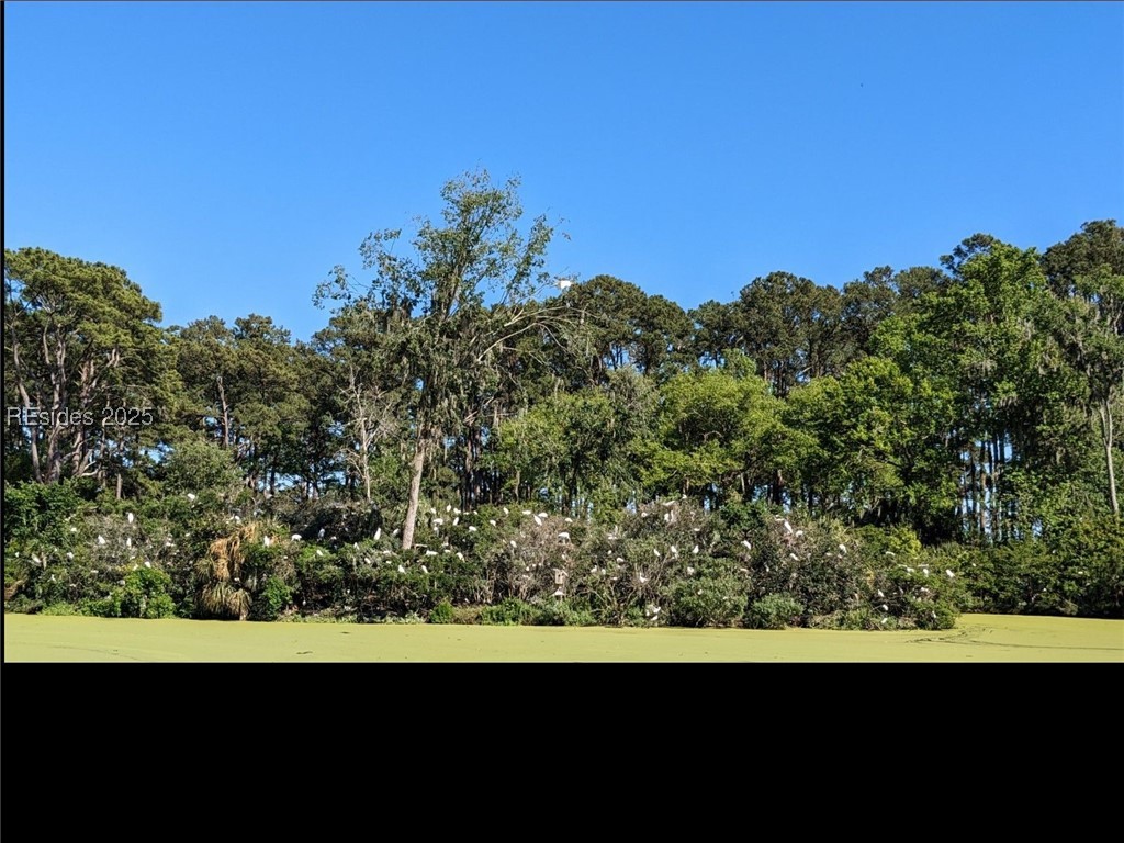 30 Volunteers Ridge, Daufuskie Island, South Carolina image 9