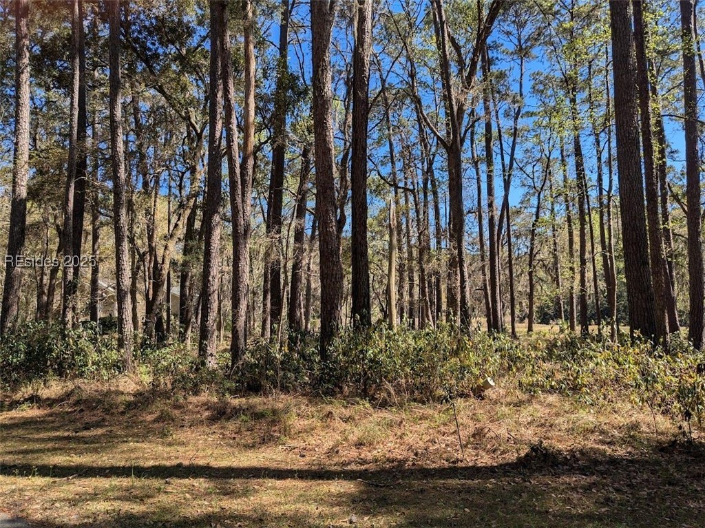 30 Volunteers Ridge, Daufuskie Island, South Carolina image 4