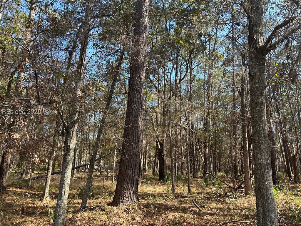 14 Captain Monroe Lane, Daufuskie Island, South Carolina image 1