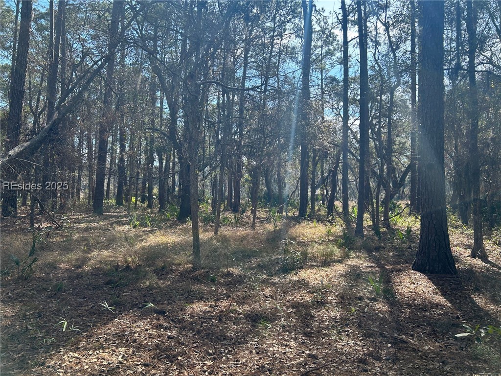 14 Captain Monroe Lane, Daufuskie Island, South Carolina image 3