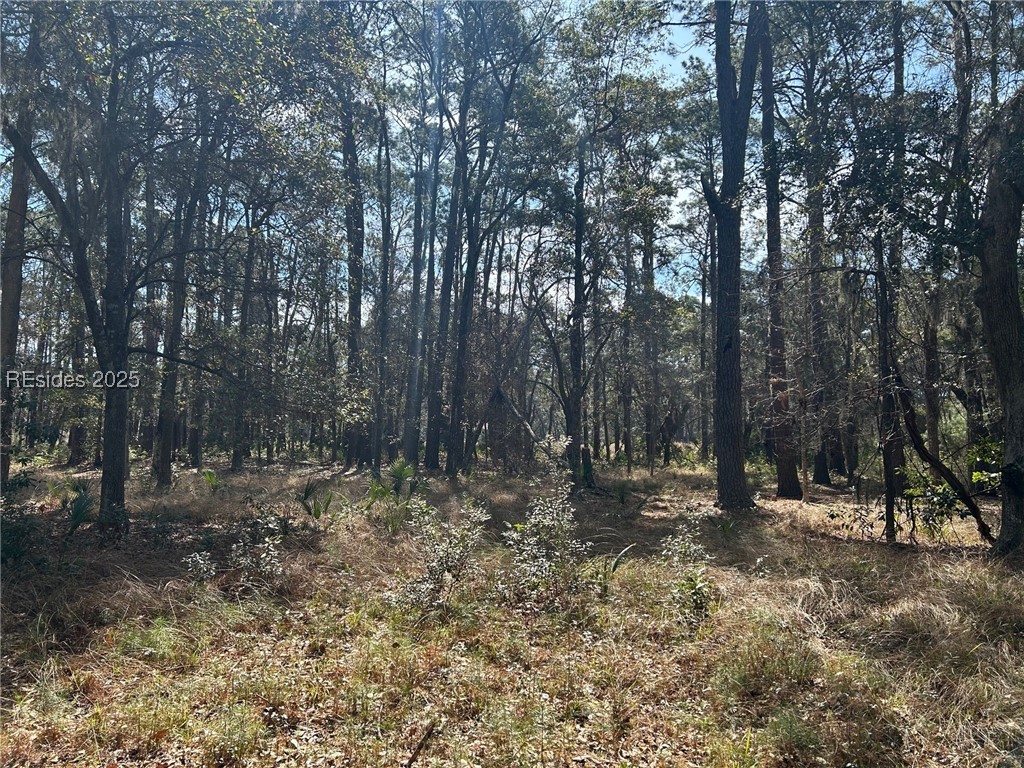 14 Captain Monroe Lane, Daufuskie Island, South Carolina image 4