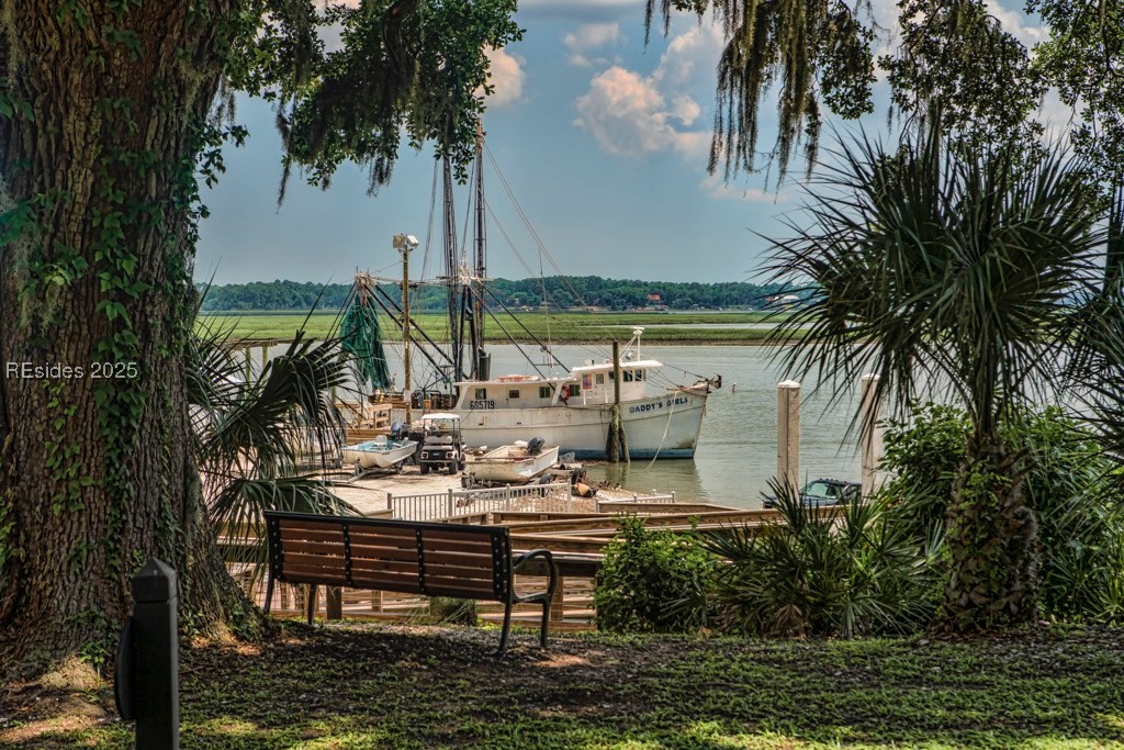 10 Meriwether Court, Bluffton, South Carolina image 27