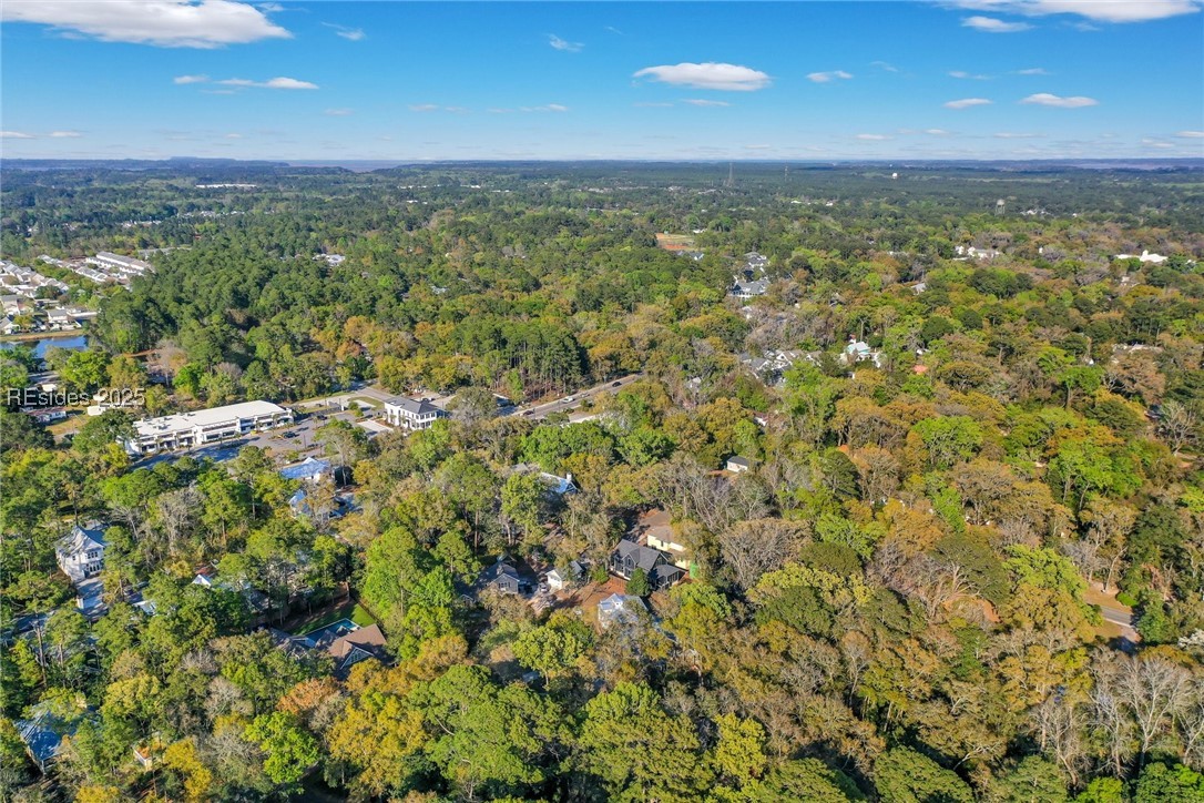 10 Meriwether Court, Bluffton, South Carolina image 9
