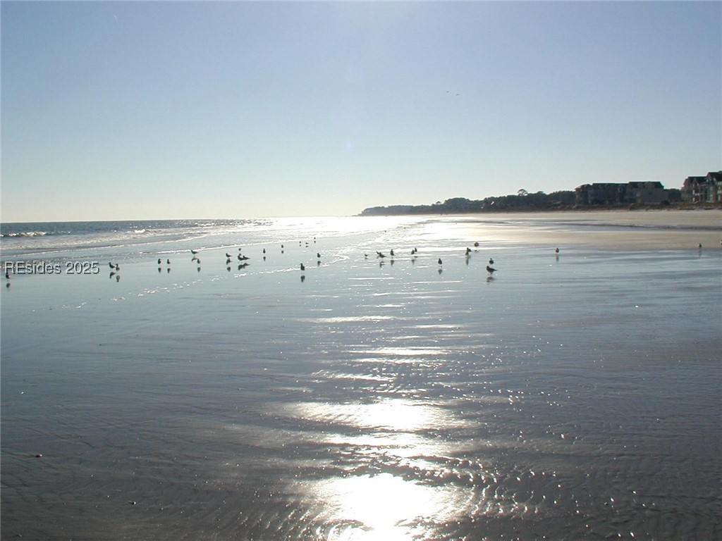 663 William Hilton Parkway #2305, Hilton Head Island, Texas image 45