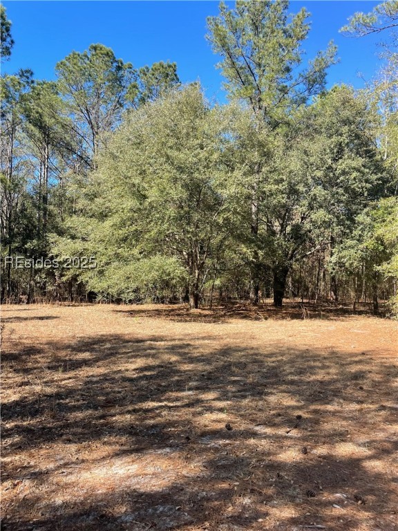431 Stock Farm Road, Ridgeland, South Carolina image 1