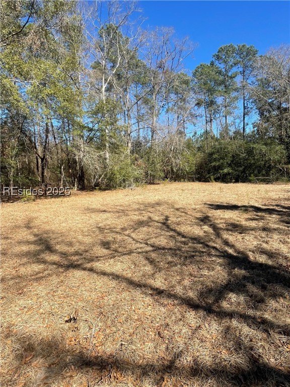 431 Stock Farm Road, Ridgeland, South Carolina image 8