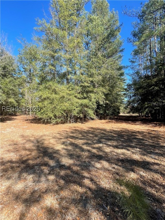 431 Stock Farm Road, Ridgeland, South Carolina image 7