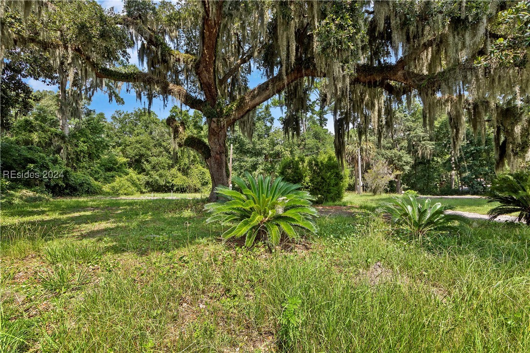 70 Pritchard Street, Bluffton, South Carolina image 10