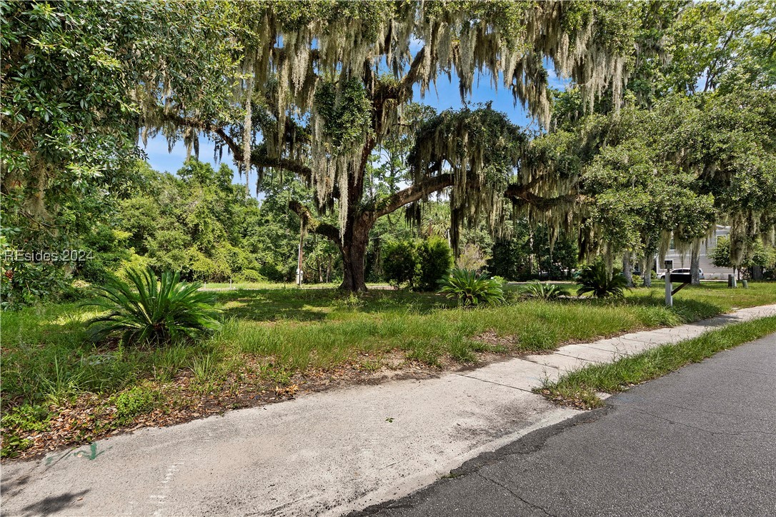 70 Pritchard Street, Bluffton, South Carolina image 11