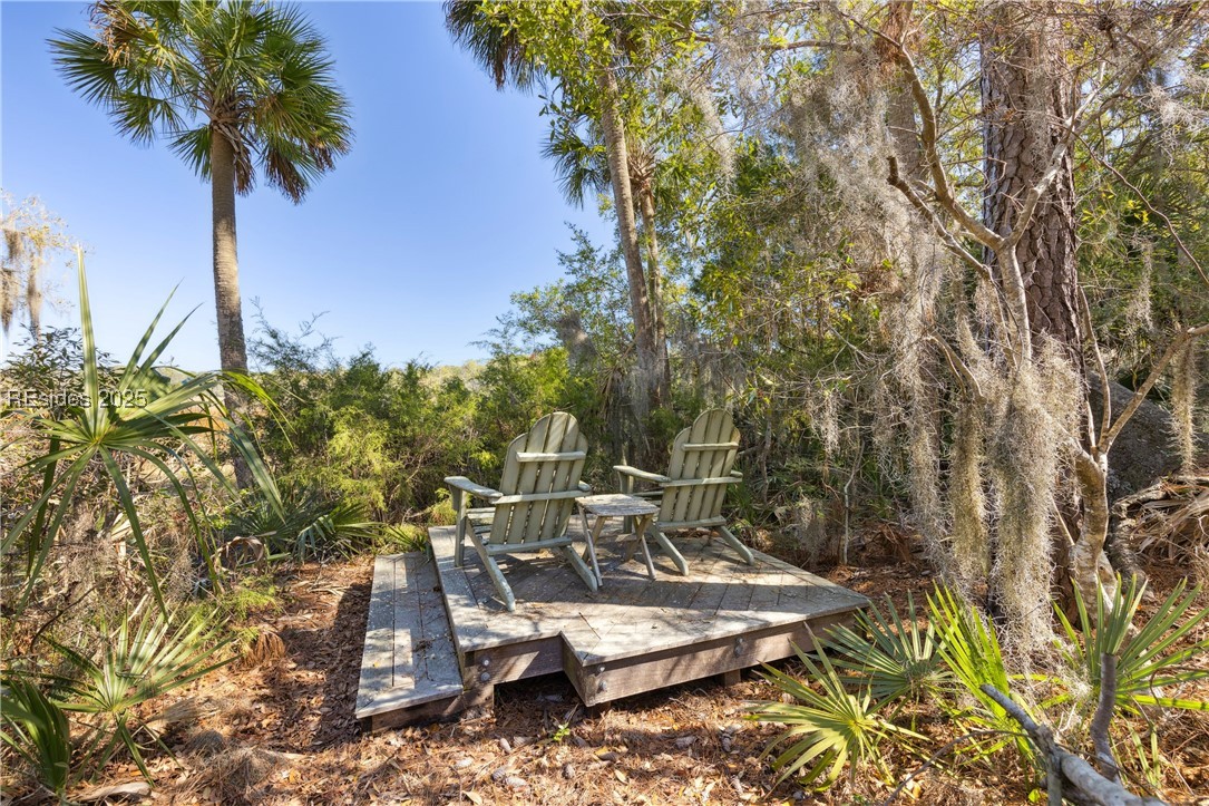 16 John Cochran Circle, Okatie, South Carolina image 32