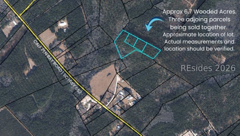 Vacant Land For Sale - TBD Calf Pen Bay Road<br/> Pineland, SC 29934