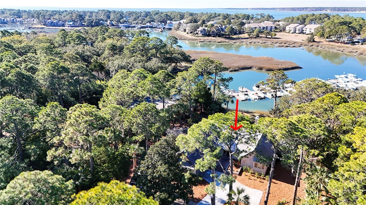 45 Gull Point Road, Hilton Head Island, South Carolina image 8