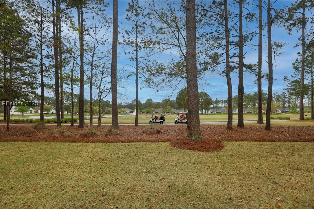 313 Firethorn Lane, Hardeeville, Texas image 1