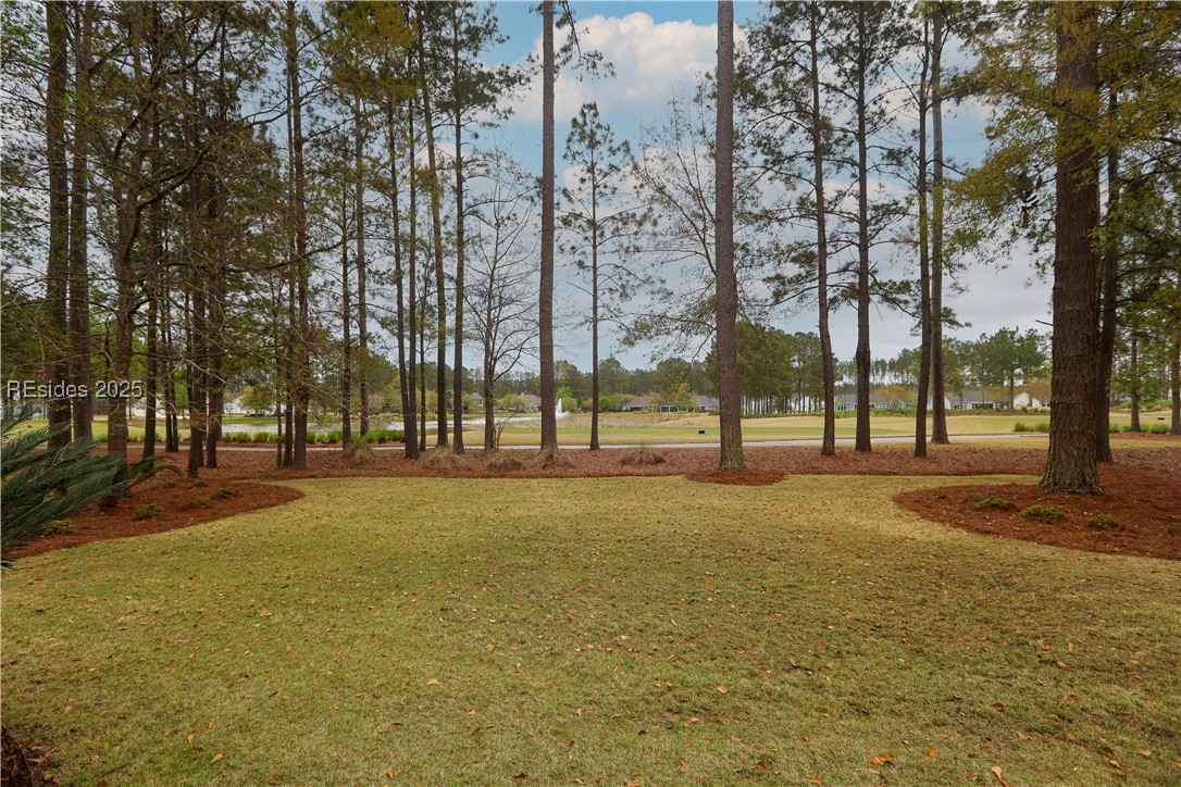 313 Firethorn Lane, Hardeeville, Texas image 2