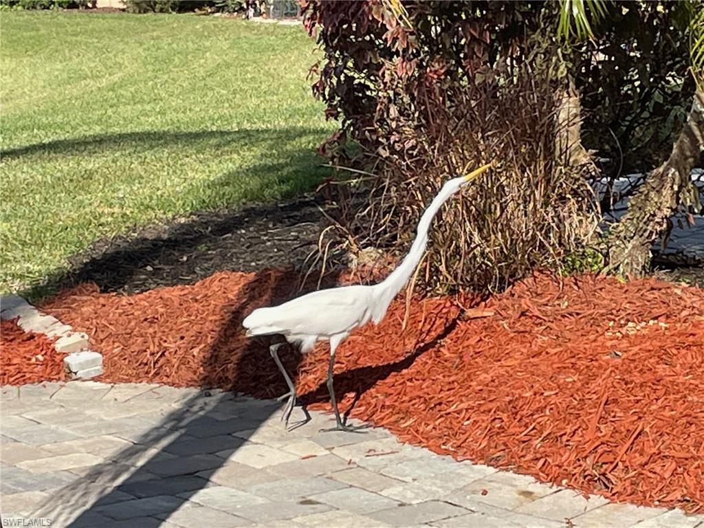 RIVERBEND MOTORCOACH RESORT - Land