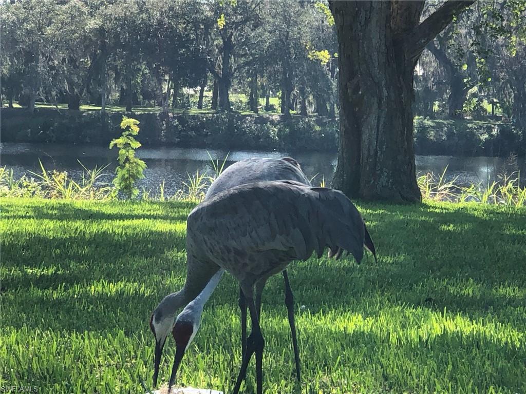 LABELLE - Residential