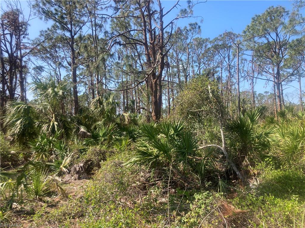 PORT CHARLOTTE - Land