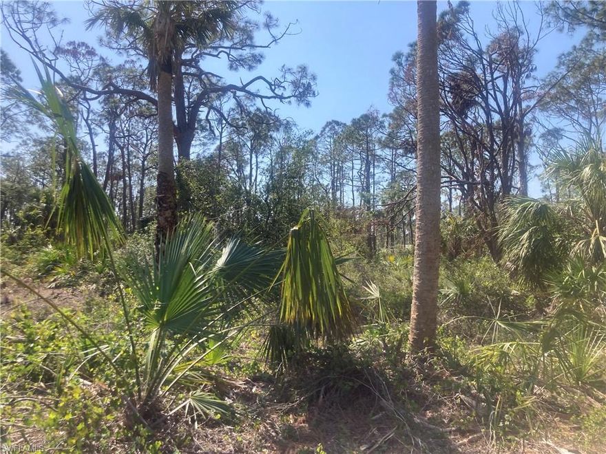 Great location to build your dream home in paradise! Close to shopping, dining and SWFL's best beaches! In a new developing neighborhood and across from waterfront properties! No deed restrictions or HOA fees. What are you waiting for? Come to paradise!