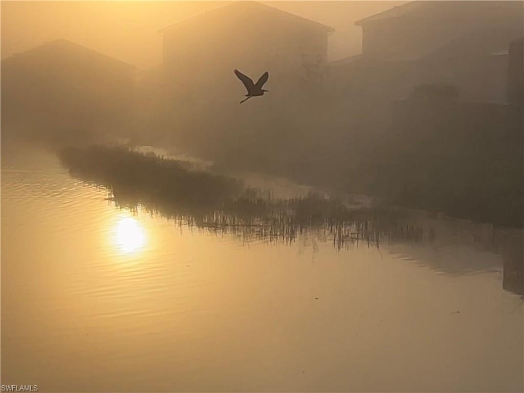 MAPLE RIDGE - Residential Lease