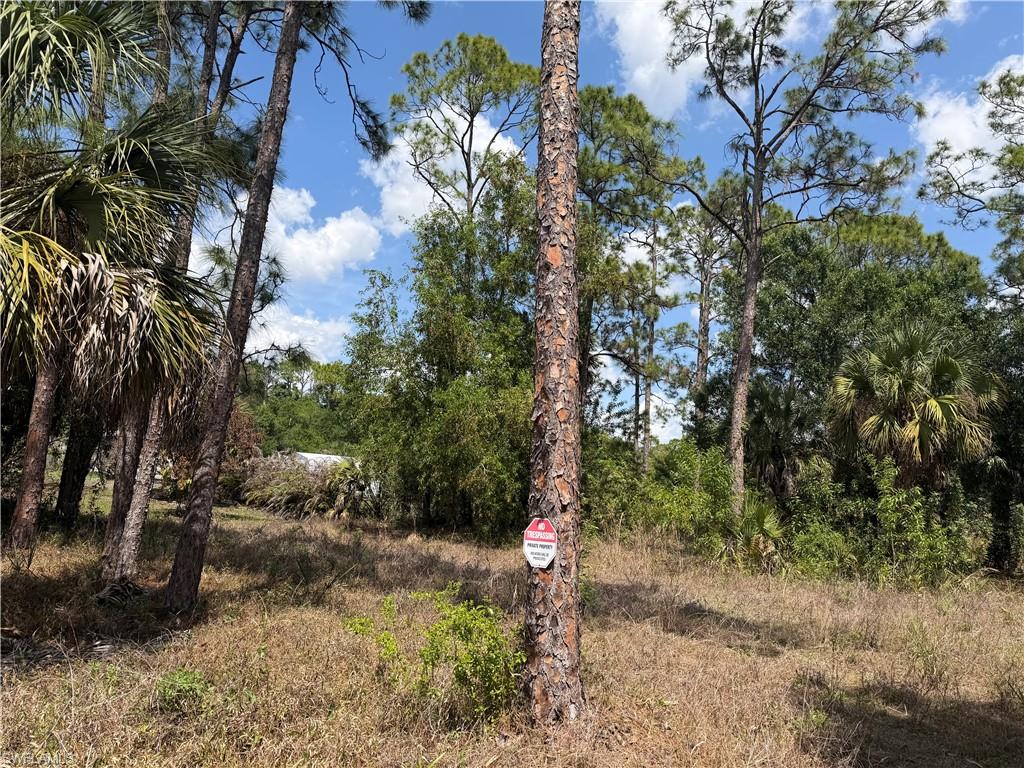 SUNCOAST ESTATES UNREC - Land