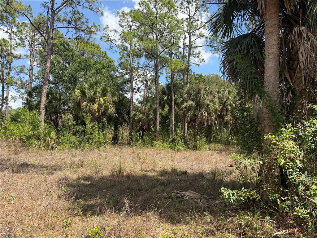 SUNCOAST ESTATES UNREC - Land