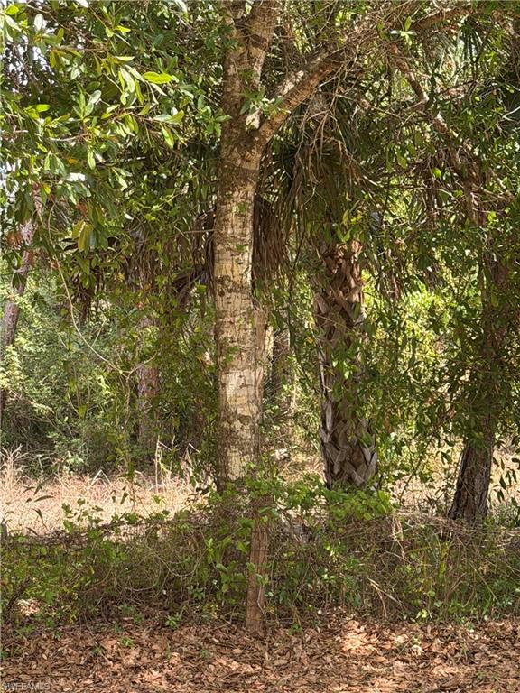 SUNCOAST ESTATES UNREC - Land