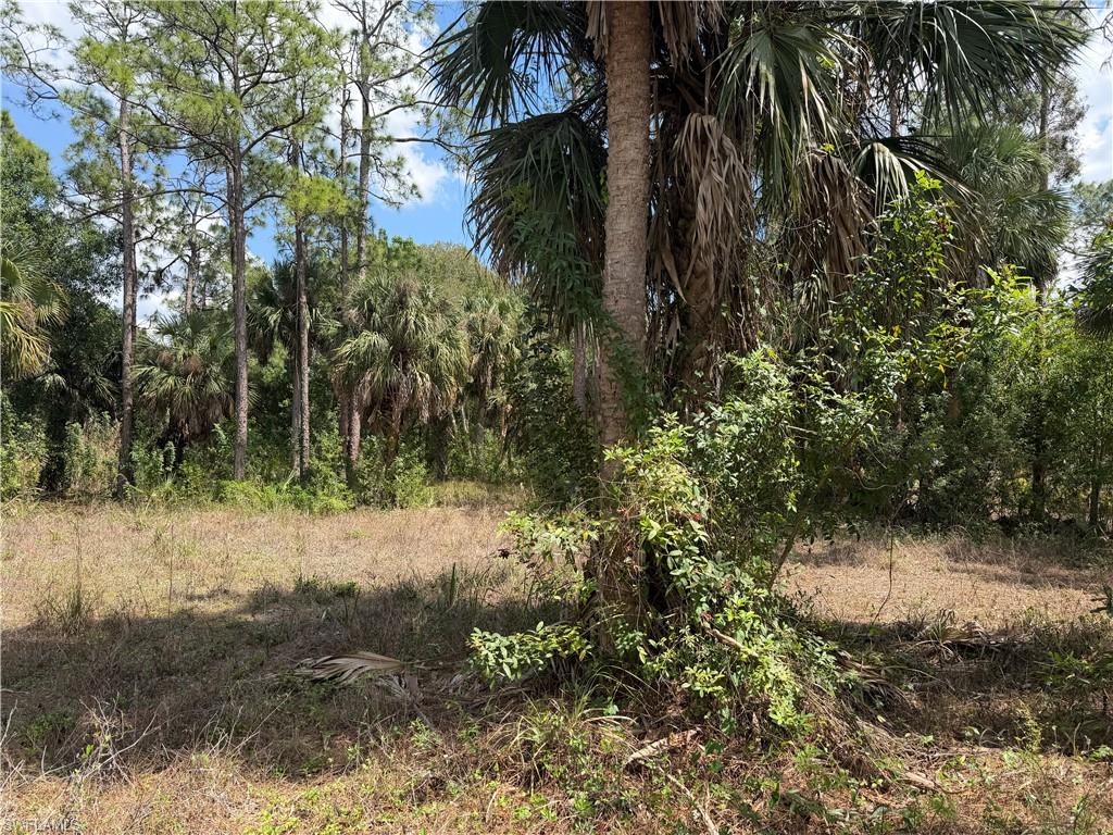 SUNCOAST ESTATES UNREC - Land