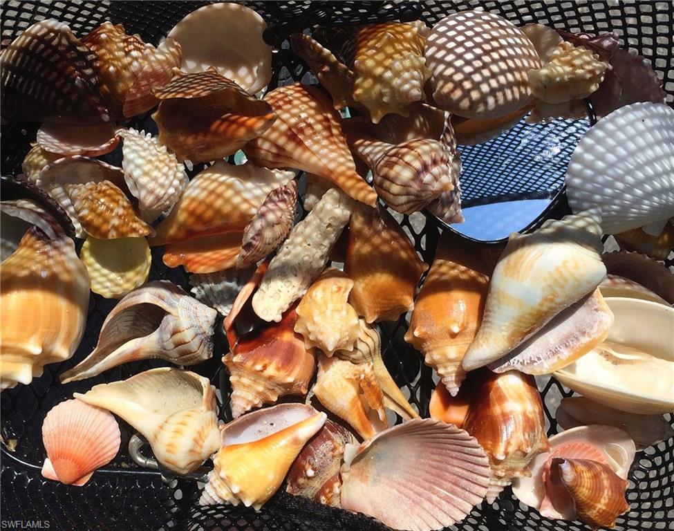 SANIBEL RIVER - Residential