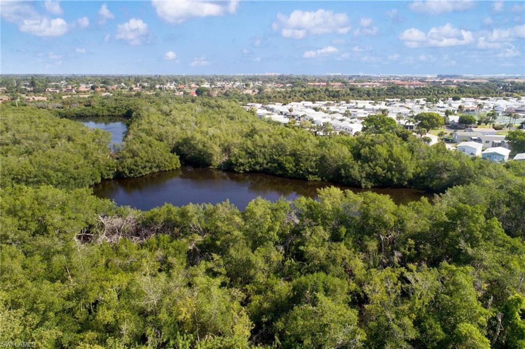 PALMETTO PALMS R V - Residential