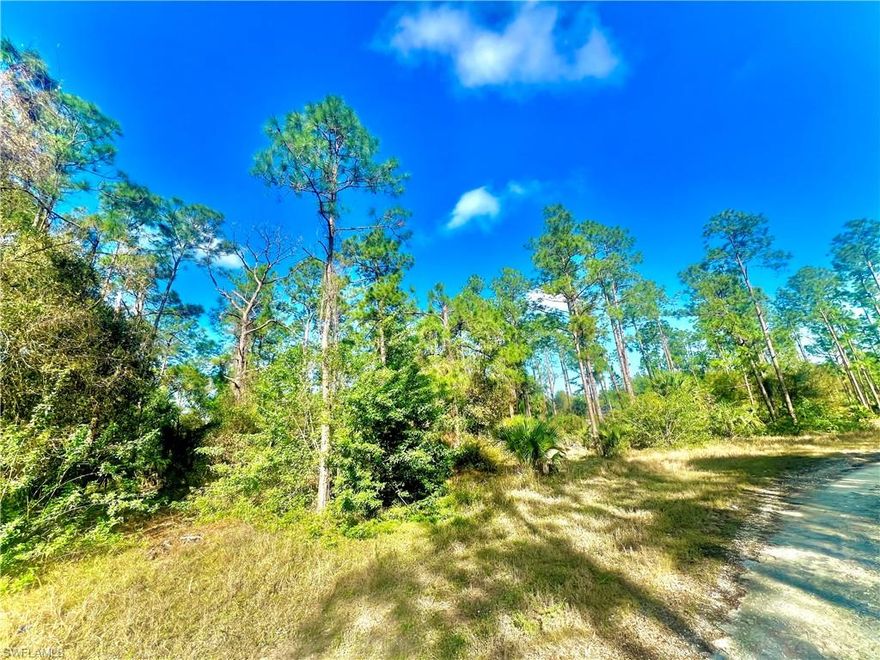 GREAT LOCATION OVERSIZED LOT nestled away on a quiet street! Just minutes from major amenities with a quick commute to Fort Myers! Come build your DREAM HOME or INVEST today.