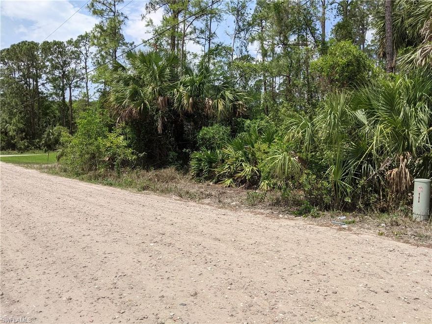 Have a Slice of Paradise. Build your dream home here. Golden Gate Estates hard to find 1/2 Acre vacant lot at a Great Value. Close in on the White Blvd side... only about 4-5 minutes to Collier Blvd. Don't miss out!